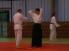 stage-aikido-bardet-waziers-019